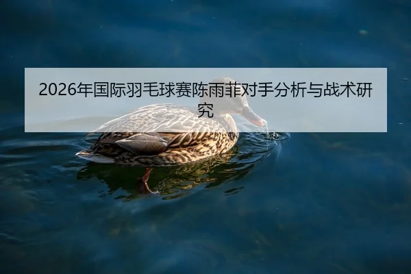 2026年国际羽毛球赛陈雨菲对手分析与战术研究