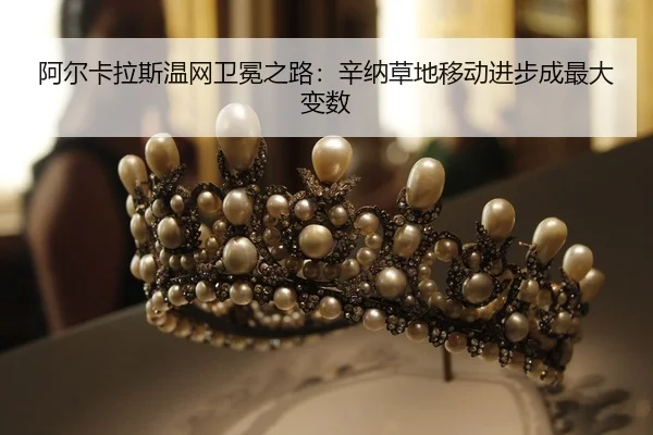 a-er-ka-la-si-wen-wang-wei-mian-zhi-lu-xin-na-cao-di-yi-dong-jin-bu-cheng-zui-da-bian-shu-2-991.jpg