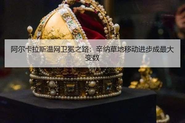 a-er-ka-la-si-wen-wang-wei-mian-zhi-lu-xin-na-cao-di-yi-dong-jin-bu-cheng-zui-da-bian-shu-3-699.jpg