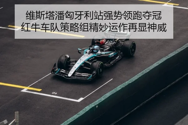 wei-si-ta-pan-xiong-ya-li-zhan-qiang-shi-ling-pao-duo-guan-hong-niu-che-dui-ce-lve-zu-jing-miao-yun-zuo-zai-xian-shen-3-290.jpg